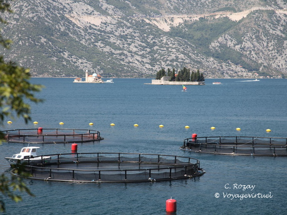 prcani bouches de kotor 4