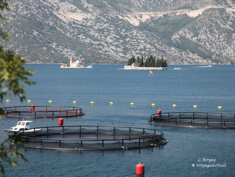 prcani bouches de kotor 4