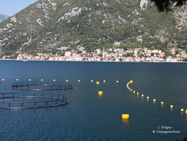prcani bouches de kotor 5