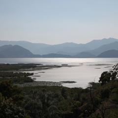 skadarsko jezero scutari 58