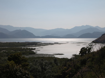 skadarsko jezero scutari 58