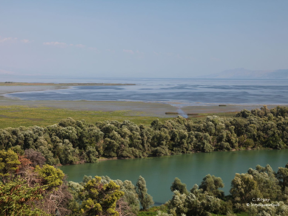 skadarsko jezero scutari 68