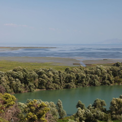 skadarsko jezero scutari 68