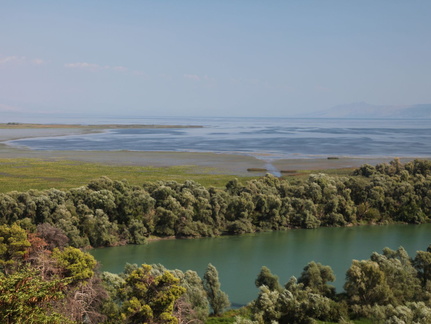 skadarsko jezero scutari 68
