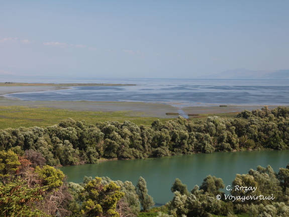 skadarsko jezero scutari 68