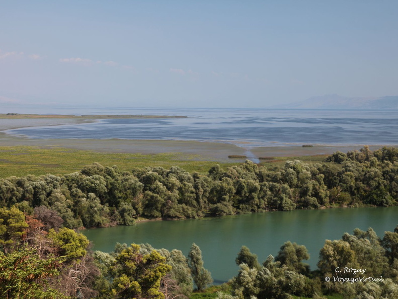 skadarsko jezero scutari 68