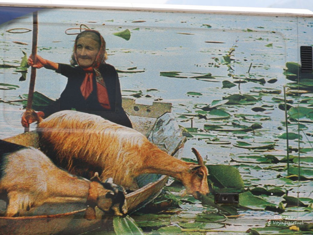 skadarsko jezero scutari 7