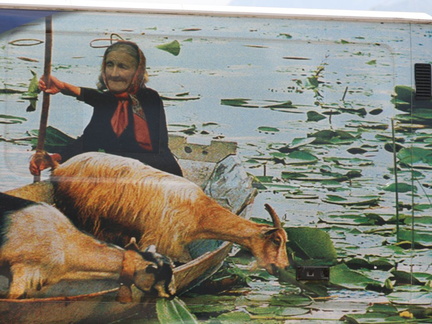 skadarsko jezero scutari 7