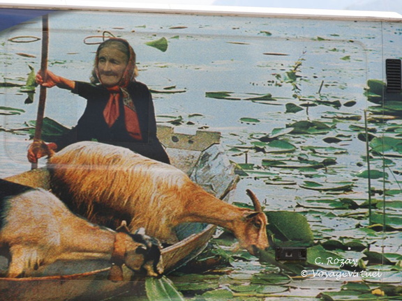 skadarsko jezero scutari 7