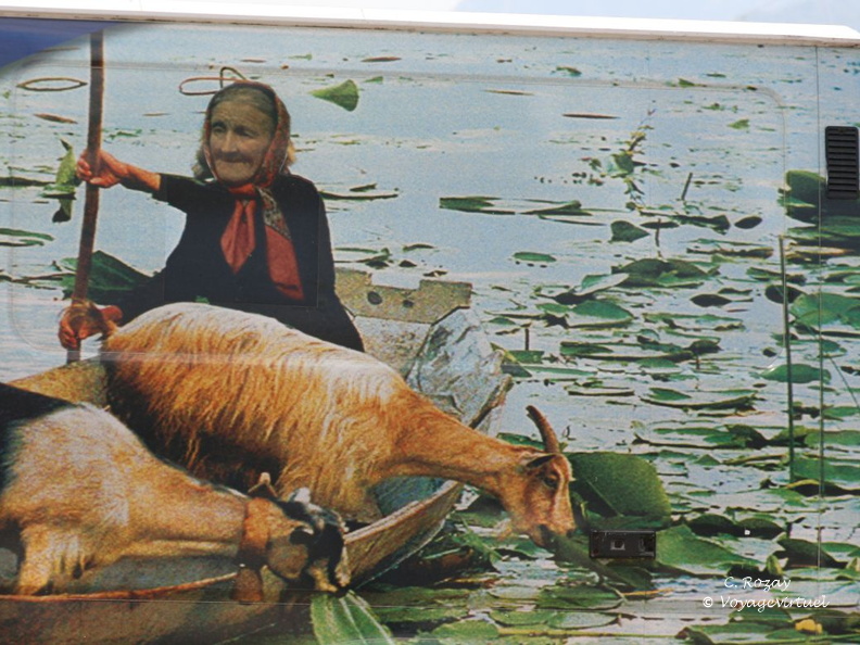 skadarsko jezero scutari 7