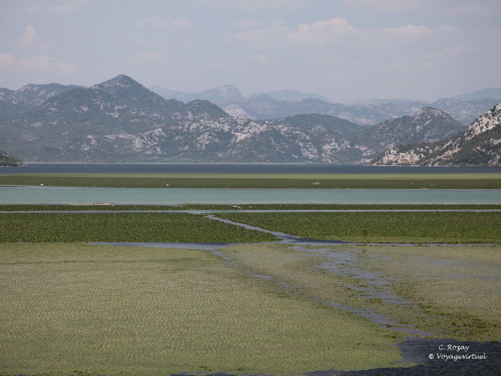 skadarsko jezero scutari lesendro forteresse vranjina 3