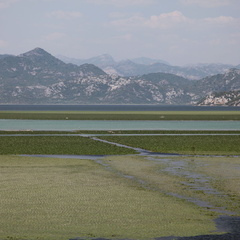 skadarsko jezero scutari lesendro forteresse vranjina 3