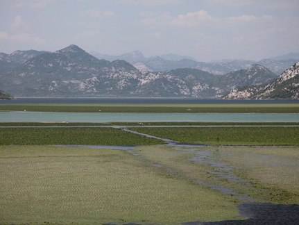 skadarsko jezero scutari lesendro forteresse vranjina 3