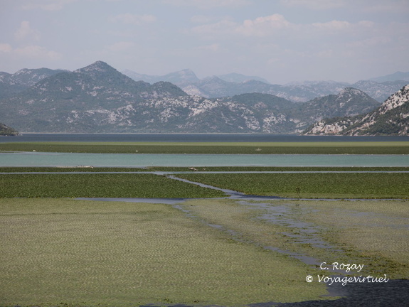 skadarsko jezero scutari lesendro forteresse vranjina 3