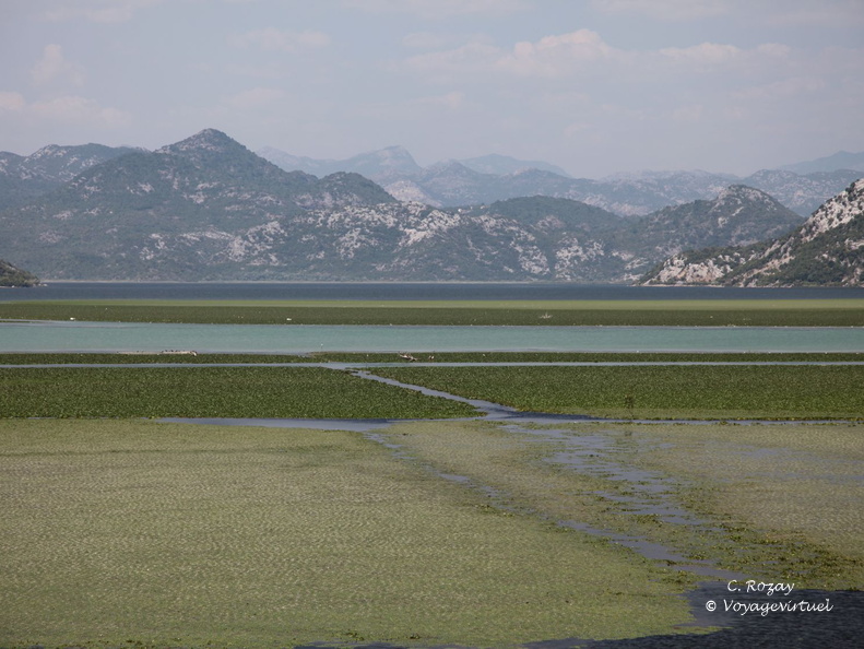 skadarsko jezero scutari lesendro forteresse vranjina 3