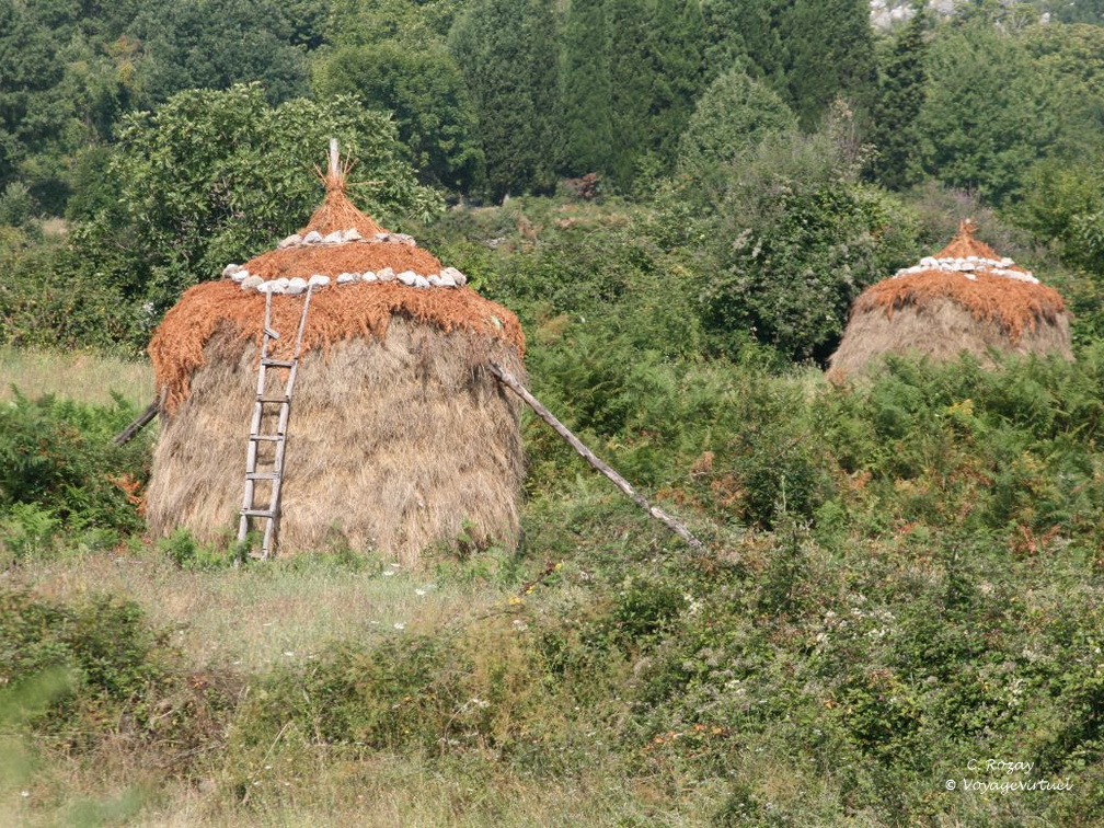 tejani skadarsko jezero scutari 2