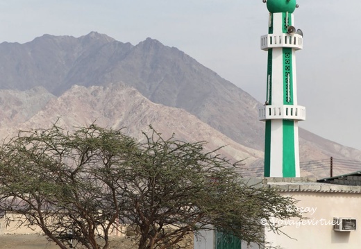 fazah batinah Oman 006