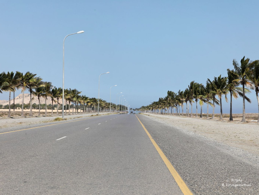 sawadi damaniyat batinah Oman 044