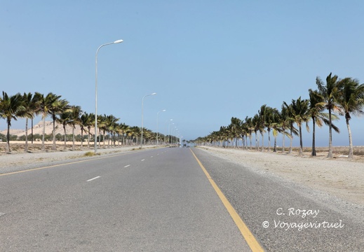 sawadi damaniyat batinah Oman 044