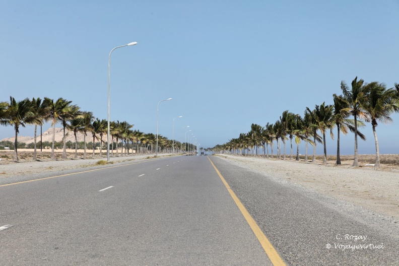 La route aux palmiers, Suwadi beach road. Batinah