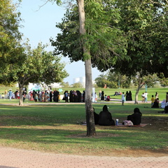 sohar batinah Oman 004