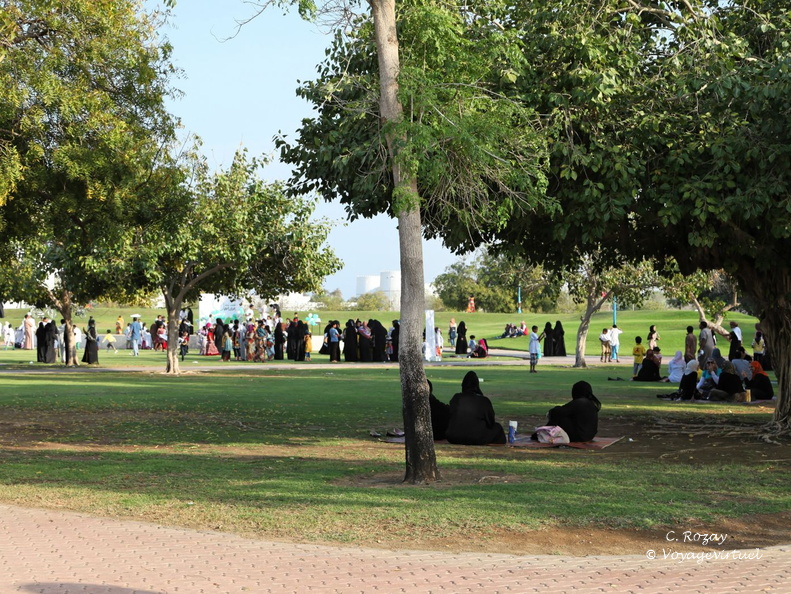sohar batinah Oman 004