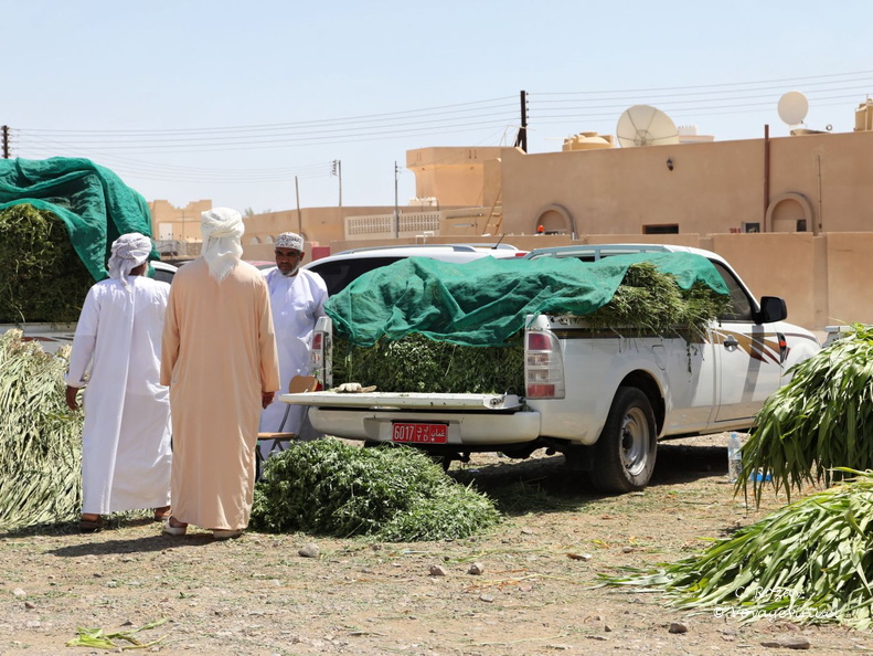 ibri hajar Oman 306