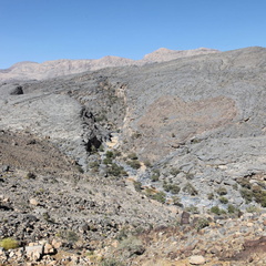 jabal shams road hajar Oman 176