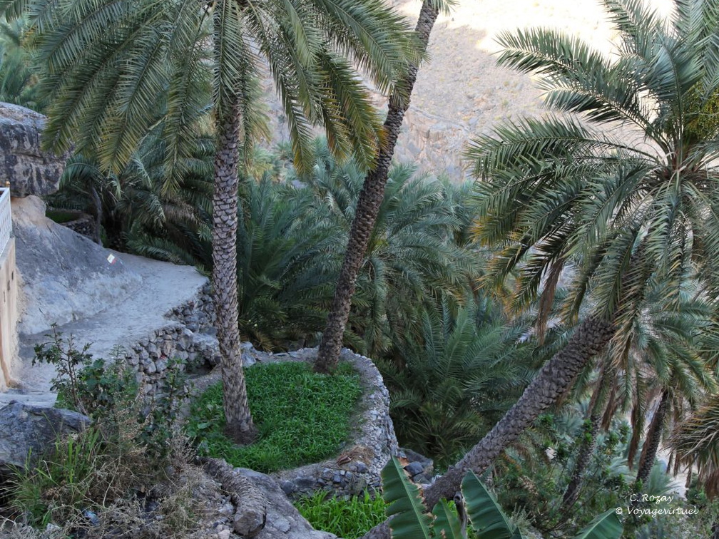 misfat al abriyeen hajar Oman 260