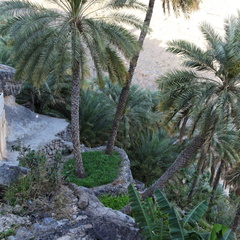 misfat al abriyeen hajar Oman 260