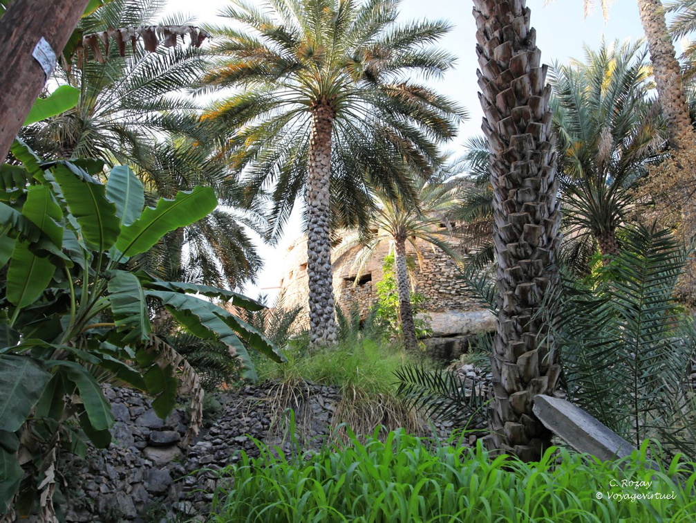 misfat al abriyeen hajar Oman 262