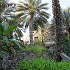 misfat al abriyeen hajar Oman 262