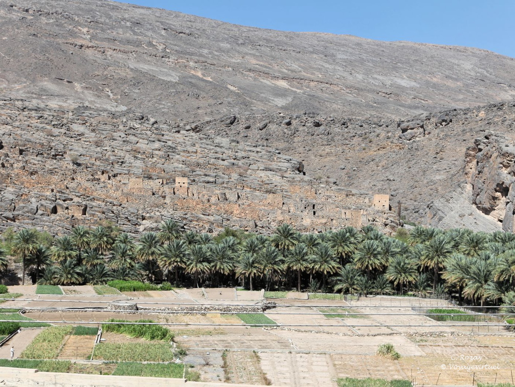 wadi ghul hajar Oman 171