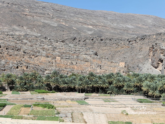 wadi ghul hajar Oman 171