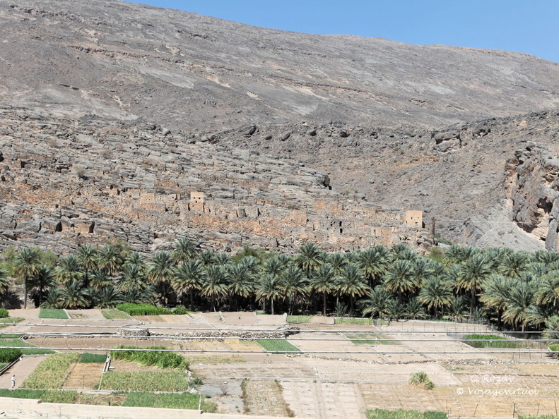 wadi ghul hajar Oman 171