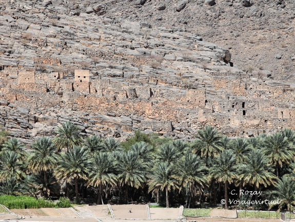 wadi ghul hajar Oman 172