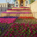 Oman 2018 11 05 14 45 palais de mascate