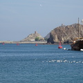 Oman 2018 11 17 13 44 mutrah mascate