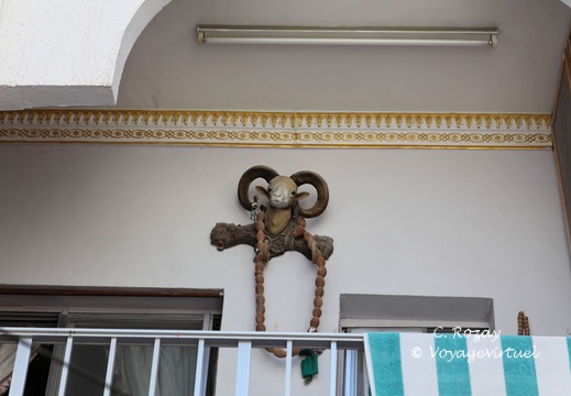 mutrah Mascate Oman 080