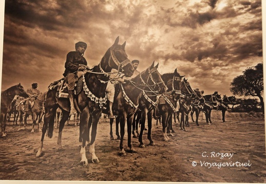 mutrah Mascate Oman 100