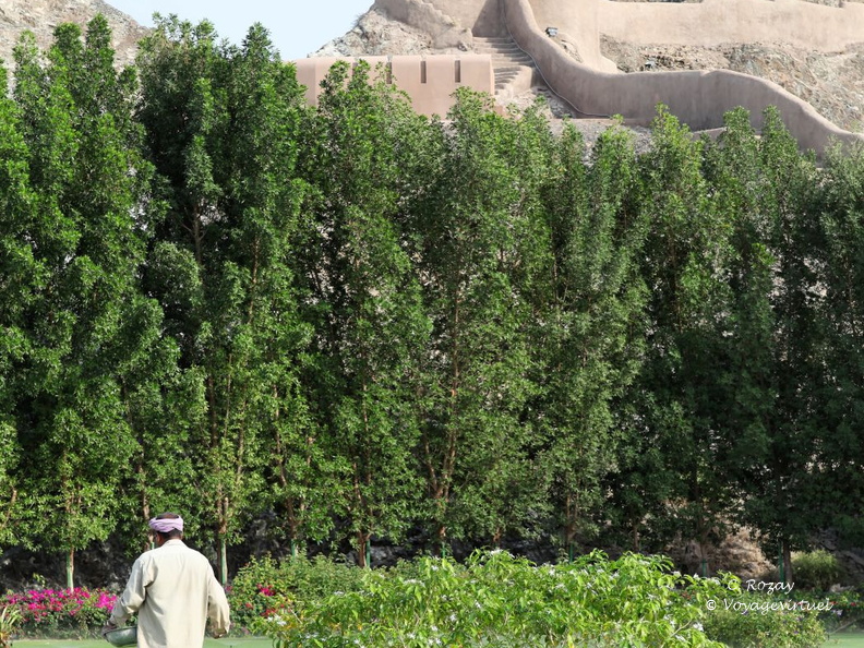 old muscat Mascate Oman 023