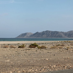Masirah Oman 029