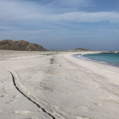 Masirah Oman 035
