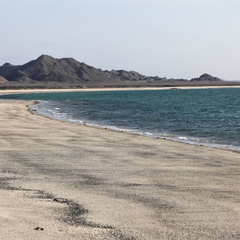 Masirah Oman 039