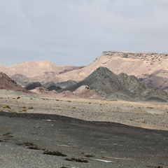Masirah Oman 052