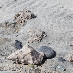 Masirah Oman 063