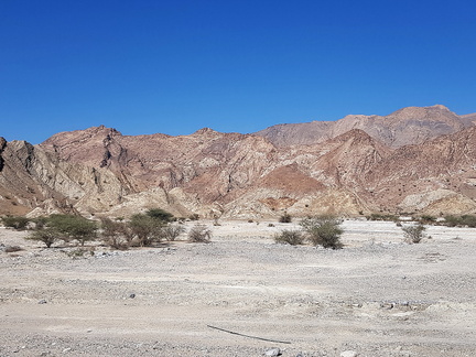 Oman 2018 11 15 13 3 entre quriyat et mascate