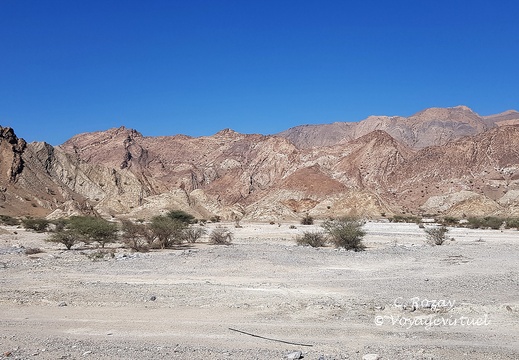 Oman 2018 11 15 13 3 entre quriyat et mascate