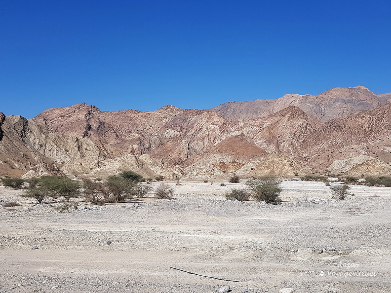 Oman 2018 11 15 13 3 entre quriyat et mascate