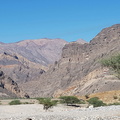 Oman 2018 11 15 13 entre quriyat et mascate